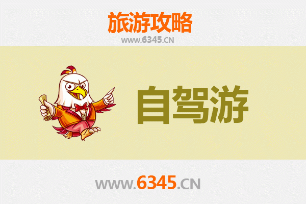 上海奉贤自驾游攻略：海湾森林、渔人码头与古镇风情