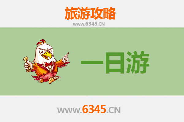 上海奉贤自驾一日游攻略：海湾风情与田园时光