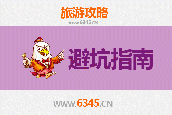 上海奉贤旅游全攻略：资深博主亲授几大忠告与须知