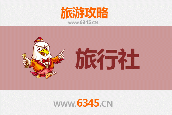 上海奉贤本地旅行社推荐及深度游玩攻略