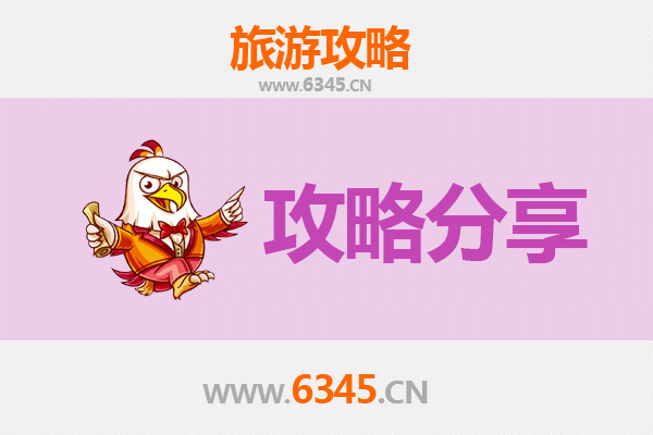 上海奉贤旅游攻略：跟团与自由行全方位解析