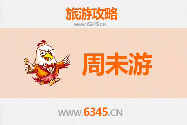 上海奉贤周末游攻略：海湾森林、渔人码头与古镇慢生活