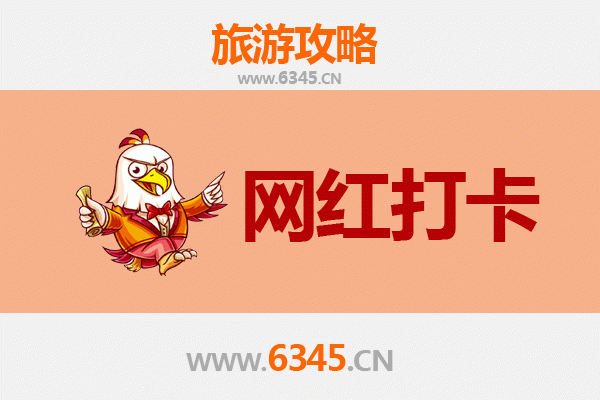 上海奉贤网红打卡地全攻略：小众秘境与潮流地标一网打尽