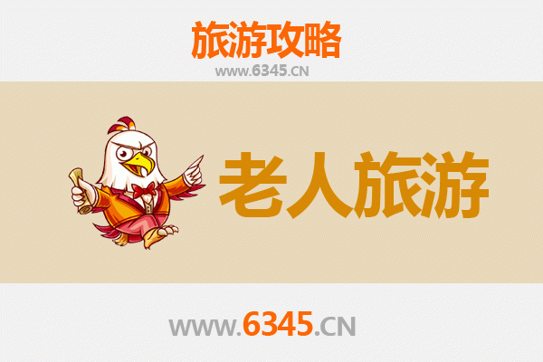 上海奉贤银发之旅：慢游自然与人文的养生胜地